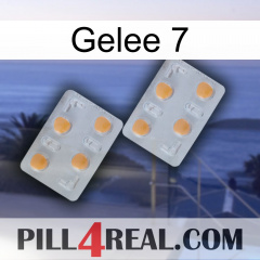 Jelly 7 25
